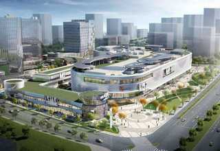 山东氨基寡糖素枯草芽孢杆菌