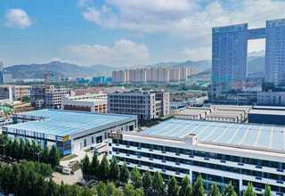 办公室绿植花卉租赁报价