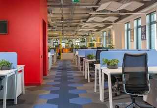 海南中型塔吊租赁