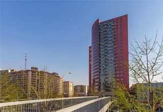 黑龙江购物柔印及环保纸袋设计