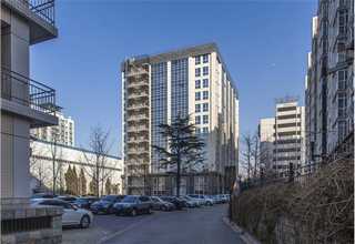 晋江发财树批发