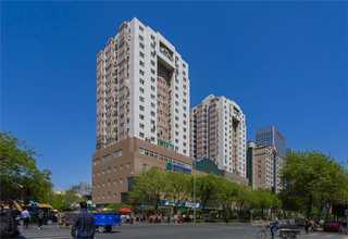 江西哑光静电粉末价格